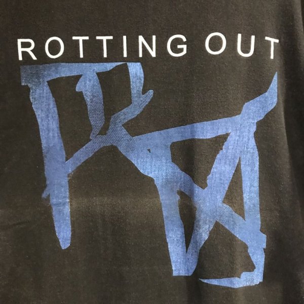 画像2: USED_"ROTTING OUT" Tシャツ_Lサイズ (2)