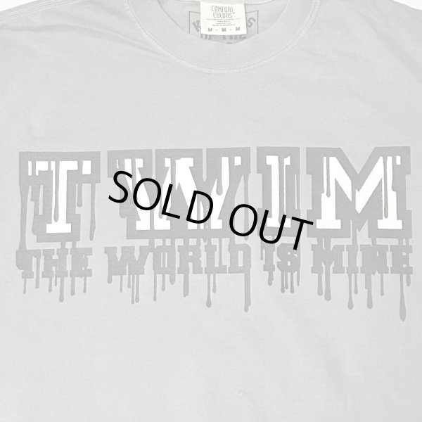 画像4: 20%OFF "DRIPPING_TWIM-LOGO" GARMENT DYED 6.1oz S/S T-SHIRT (GREY) (4)