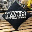 画像1: [USED] "TWIM-LOGO" CUSHION (BLACK) (1)