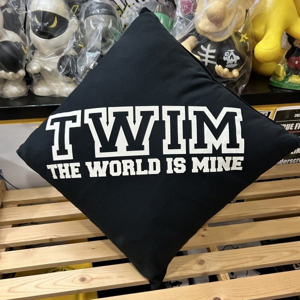 画像1: [USED] "TWIM-LOGO" CUSHION (BLACK) (1)