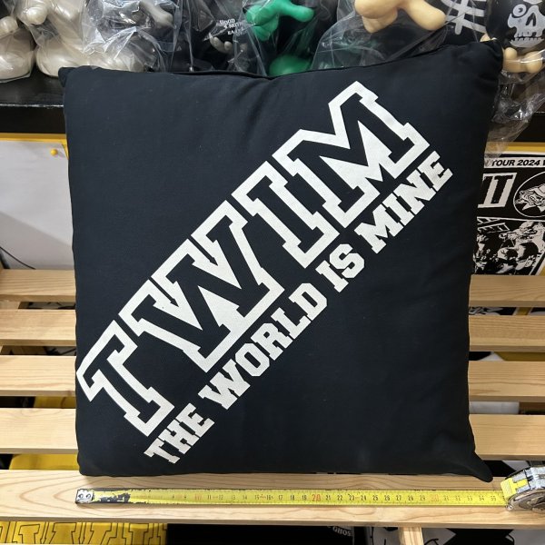 画像5: [USED] "TWIM-LOGO" CUSHION (BLACK) (5)